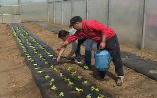 Cáritas de Beja com horta