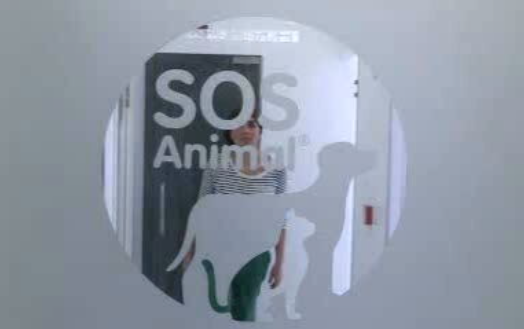 Hospital SOS Animal