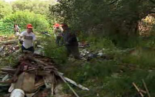 Voluntários limpam a Tapada da Ajuda
