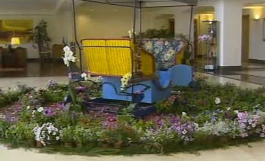 Festa da Flor