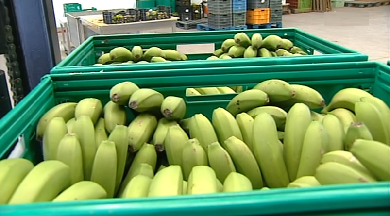 Queixas da “Frutaçor”