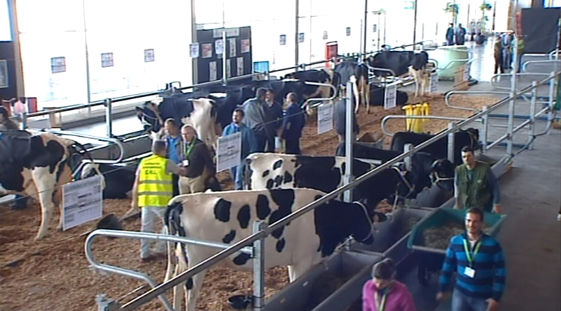 Seminário Internacional de Genética Bovina