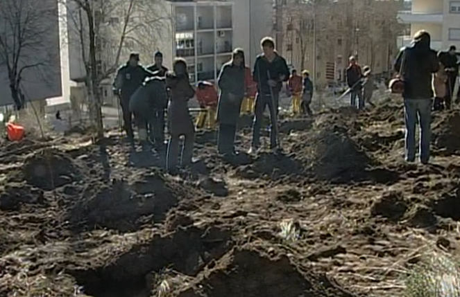 Campanha de Reflorestação