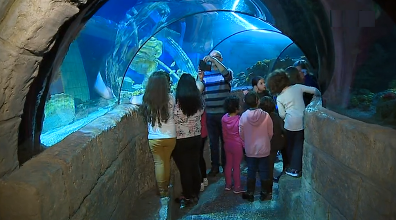 Crianças no aquário do “Sea Life”