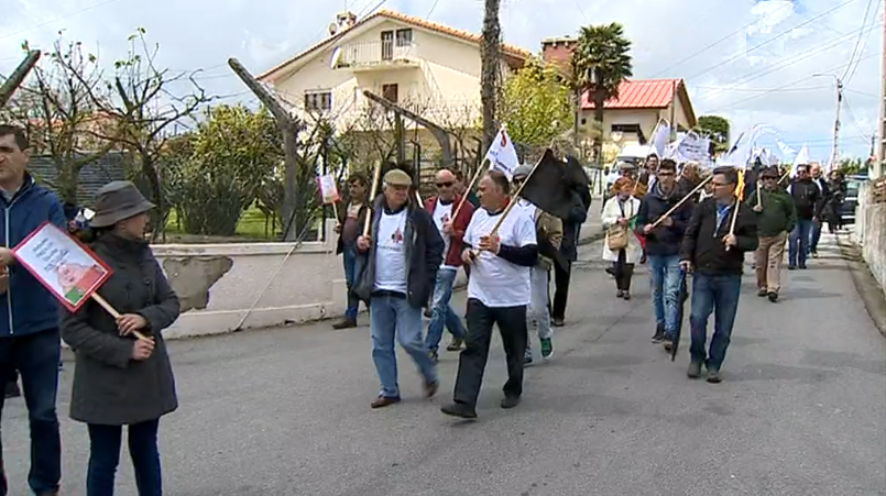 Protesto de Suinicultores