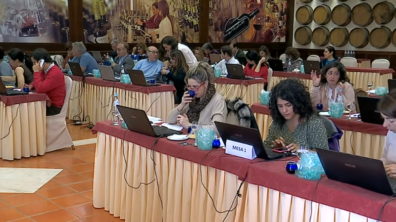 Concurso internacional avalia azeites