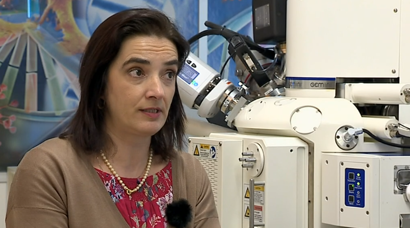 Elvira Fortunato selecionada para Prémio Europeu de Invenção