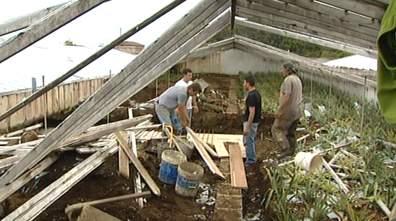 Tornado estraga estufas em São Roque