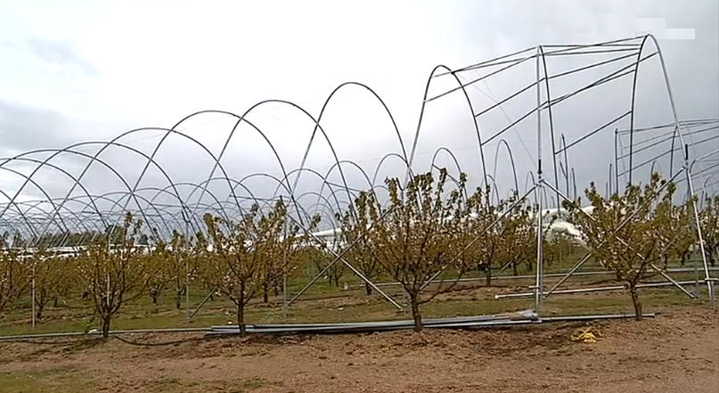 Herdade agrícola de fruticultura na Covilhã I