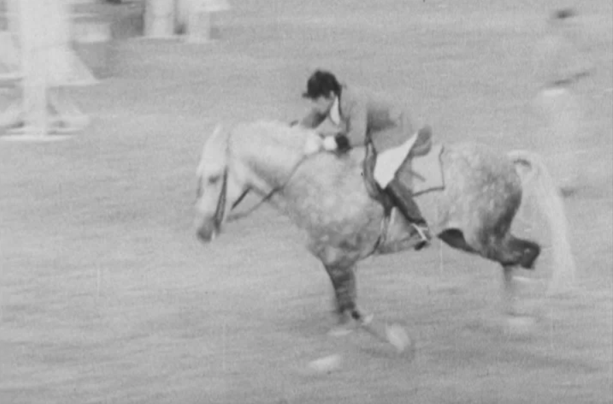 Hipismo: Campeonato de Portugal do Cavaleiro de Obstáculos