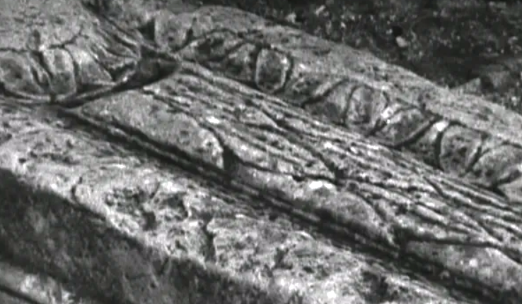 Entre o Tejo e o Guadiana