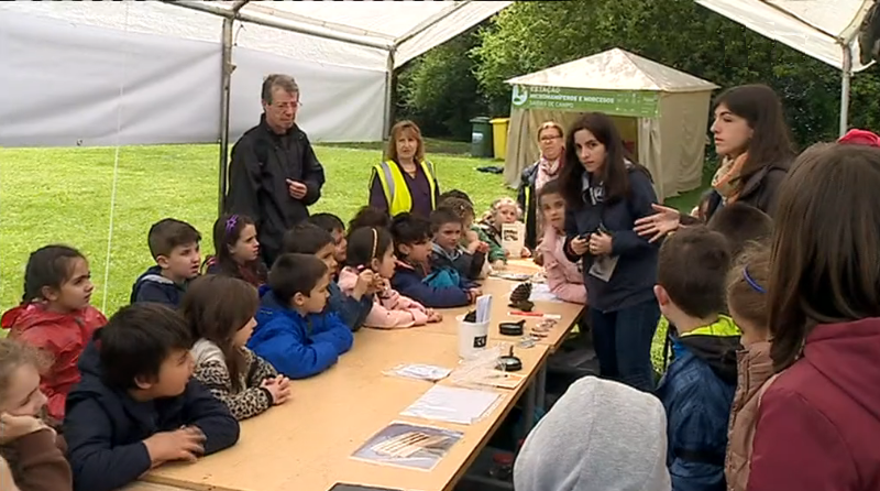 Bioblitz no Parque de Serralves I