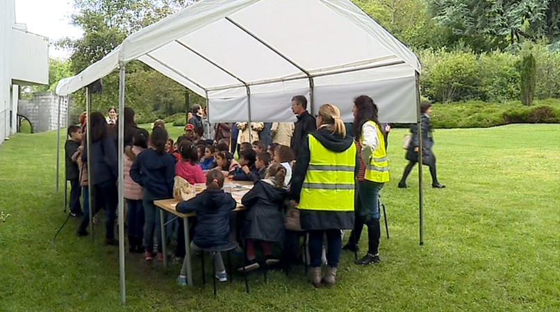 Bioblitz em Serralves