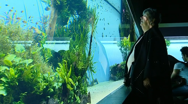 Exposição “Florestas Submersas” no Oceanário de Lisboa