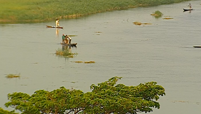 O sangue da floresta