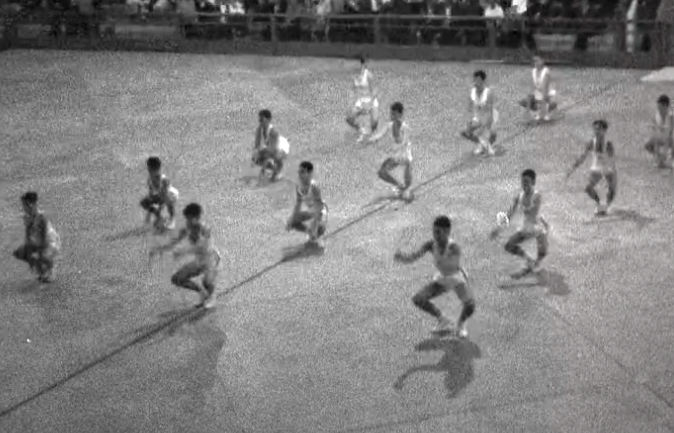 Ginástica: Sarau do Lisboa Ginásio Clube