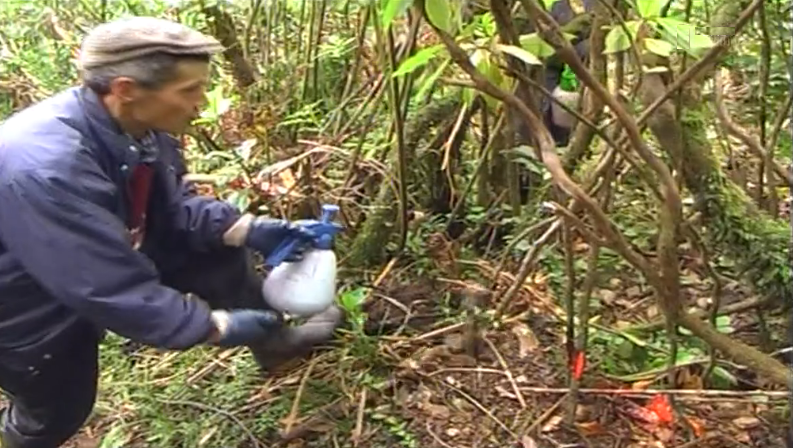 Abandono do uso de glifosato em São Miguel
