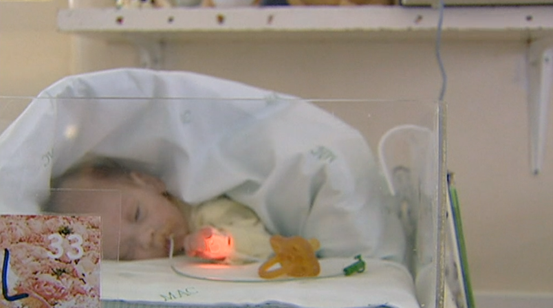 Natalidade em Portugal