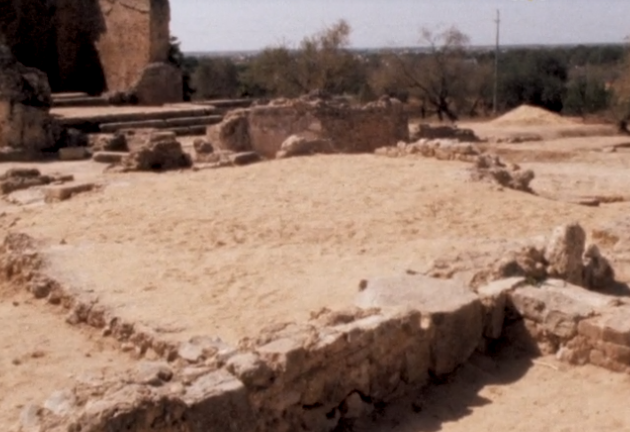 Vida Rural a Sul do Tejo 1