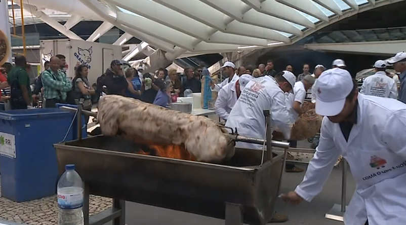 Campanha de sensibilização dos suinicultores