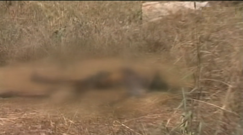 Encontrada vala comum em Moçambique