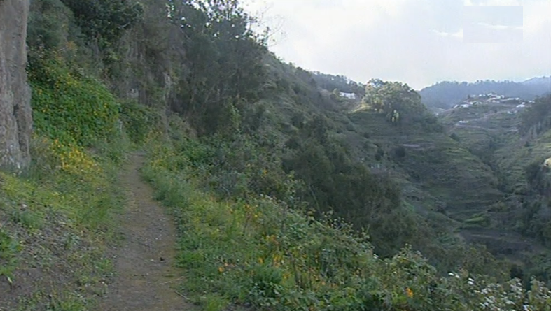 Morte de turista na Ilha da Madeira