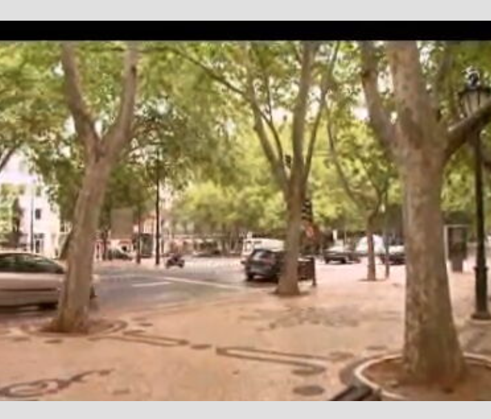 À descoberta do verde interior