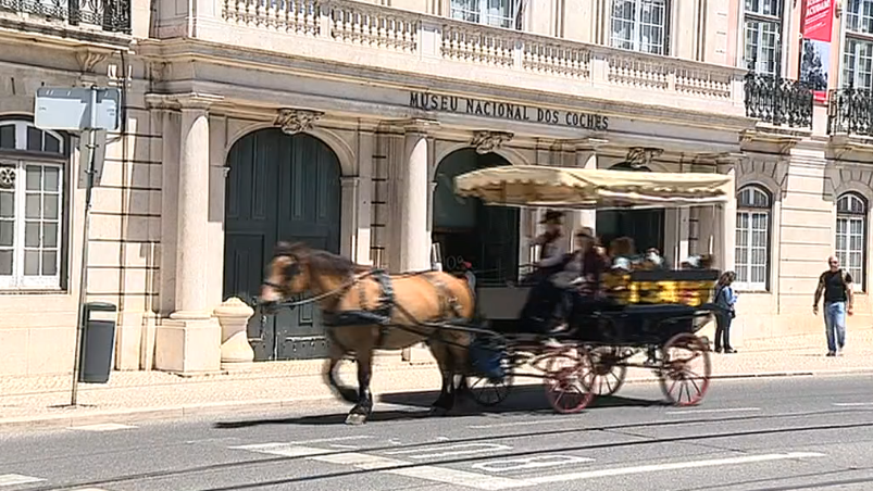 Dia Internacional dos Museus