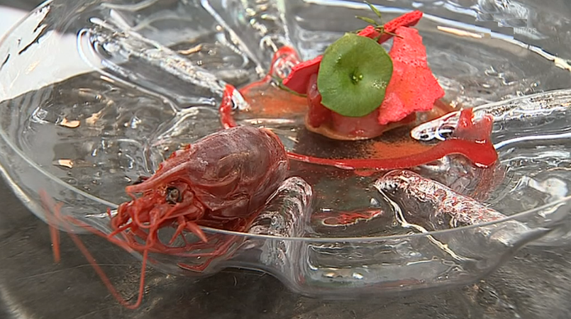 Festival Gastronómico “Sangue na Guelra”