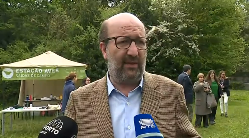 Bactérias no Rio Ave