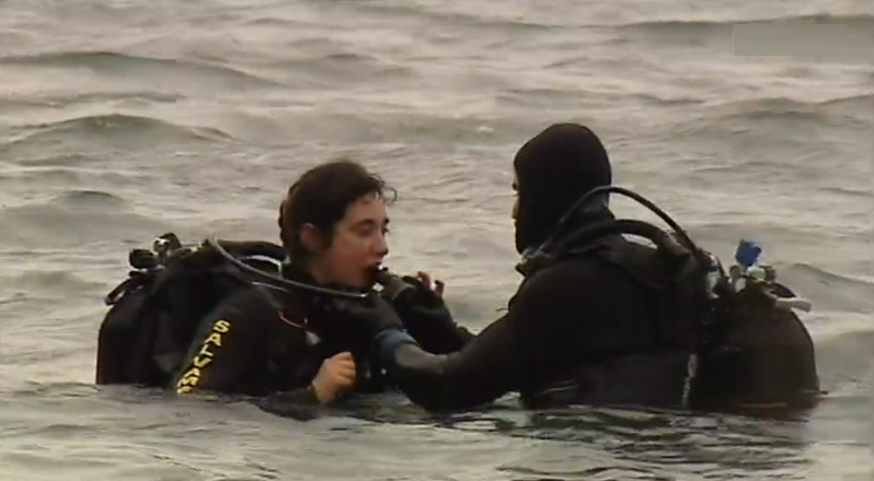 Dia da Marinha no Faial