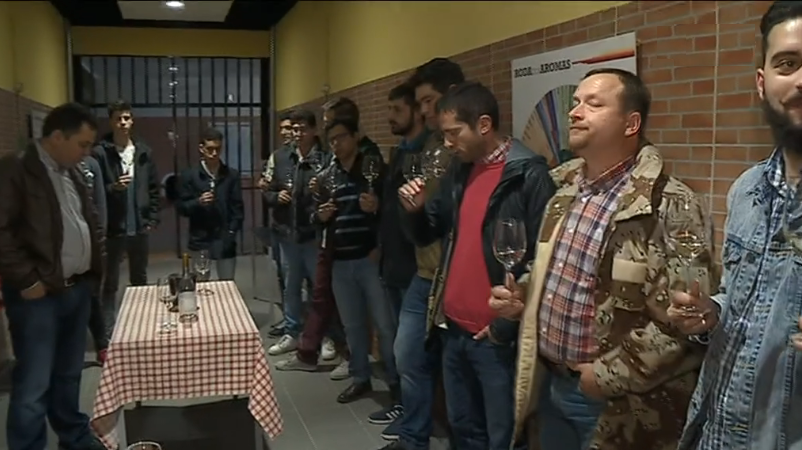 Produção do vinho do Dão II