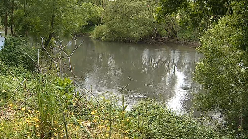 Poluição no Rio Ave