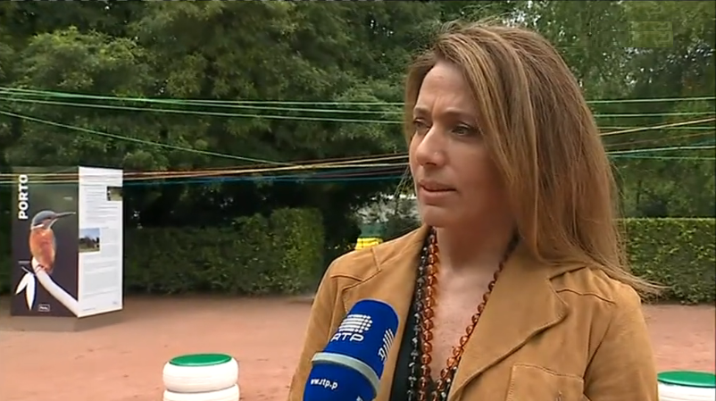 Iniciativa ambiental “BioBlitz” em Serralves