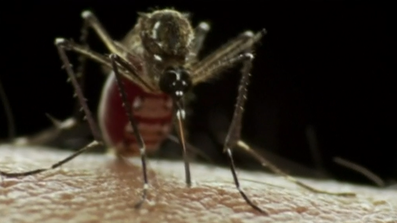 Alerta contra doença infecciosa em Portugal
