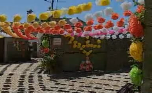 5ª Edição do Festival das Flores