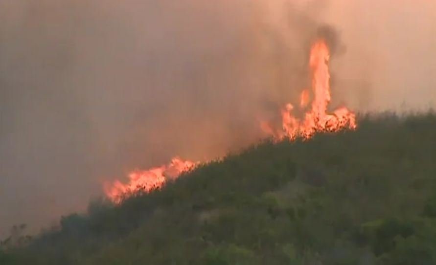 Incêndios florestais