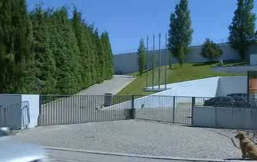 Futebol: Protesto de adeptos do FC Porto