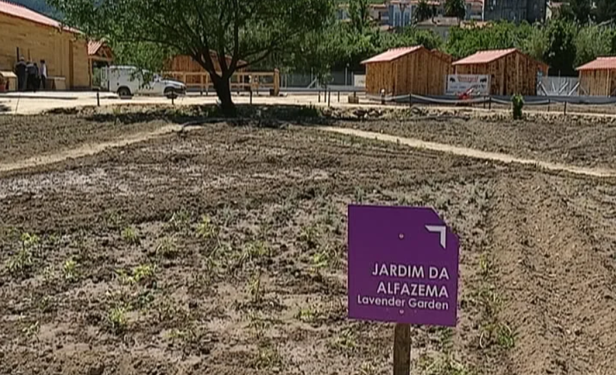 Quinta pedagógica no Fundão