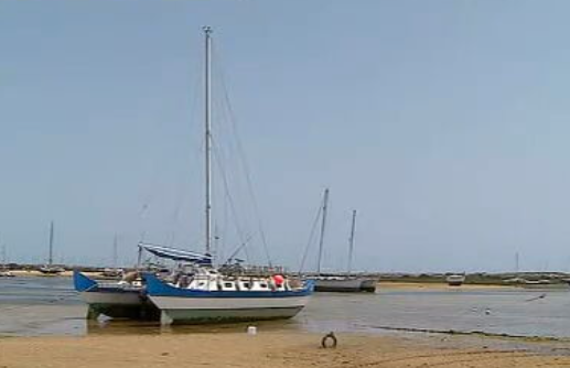 Limpeza nos areais da Ilha da Culatra