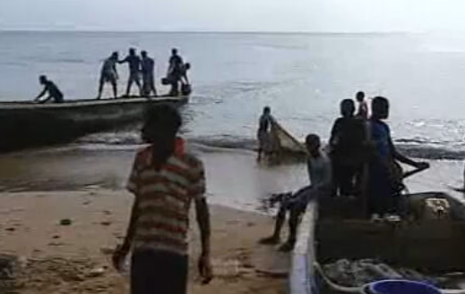 Pesca artesanal