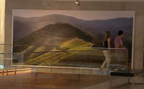 Museu do Vinho