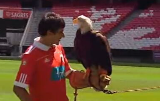 Futebol: Treino do Benfica