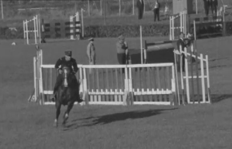 Hipismo: Concurso Nacional de Lisboa