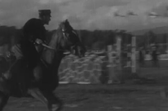 Hipismo: Concurso da Penina