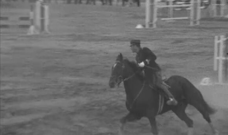 Hipismo: I Concurso Nacional de Vilamoura