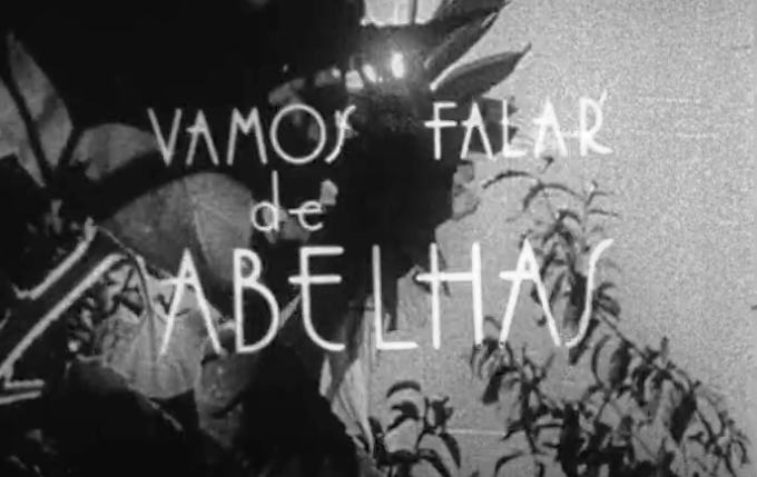 Vamos Falar de Abelhas
