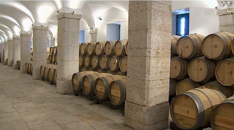 “Dia do Município” em Oeiras II