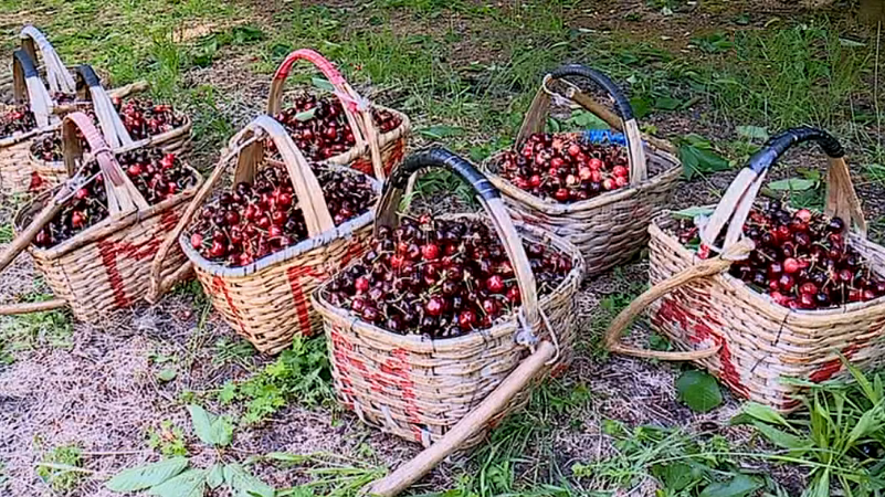 Cerejas no mercado