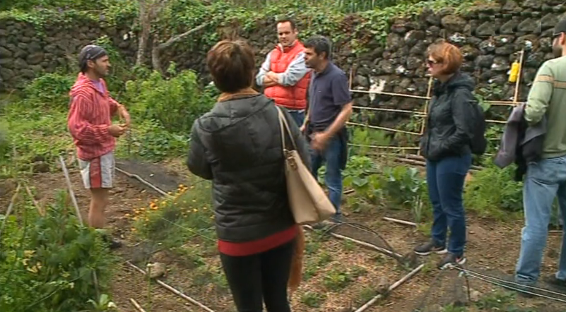 Roteiro das Hortas Domésticas na Ilha Terceira